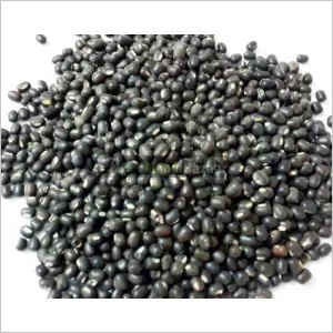 Organic Urad Dal - Whole Black Lentils 50kg | High Protein Low Admixture Hygienically Packed