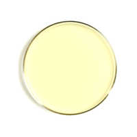 90 Mm Cetrimide Agar Plate Application: For Lab