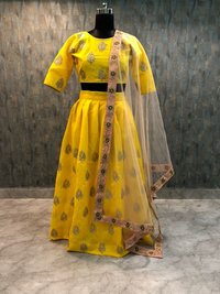 Ladies Fashionable Lehenga Choli