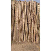 Nilgiri Wooden Poles