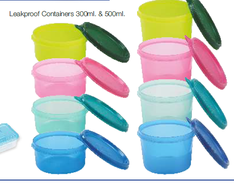Leak Proof Plastic Container