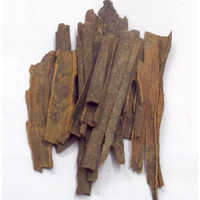 Dalchinni