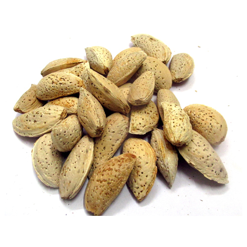 Khero Gari Badam