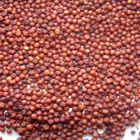 Arhar Dal Seeds