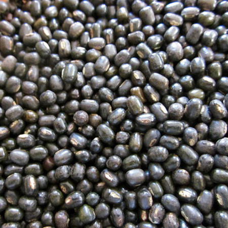 Urad Dal Seeds