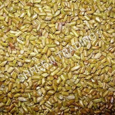 Cassia Tora Seed 2-4 mm, Yellowish-Brown | Natural Remedy, Anti-Inflammatory, Eye Health, Skincare, Haircare