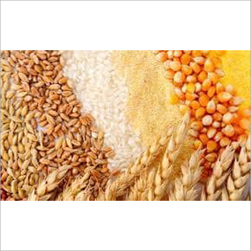 Cereals Grain