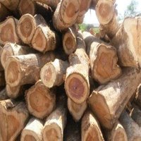 Ghana Teak Wood - Premium Hardwood, Customizable Size, Moisture Content 12-15%, Untreated Finish | Weather Resistant, High Strength, Durable