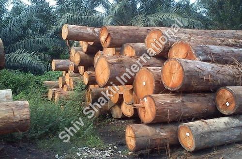 Meranti Wood Round Logs