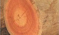 Red Meranti Wood - Grade: A