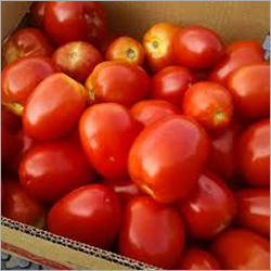 Fresh Tomatoes