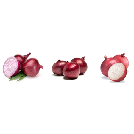 Fresh Onion