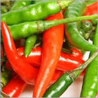 Green Chilli