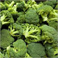 Fresh Broccoli