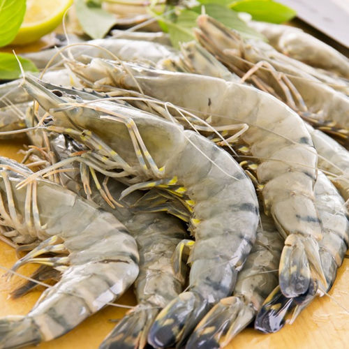 Raw Black Tiger Shrimp (Shell On)