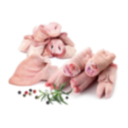 Pork Meat By SIAM CANADIAN GROUP LIMITED