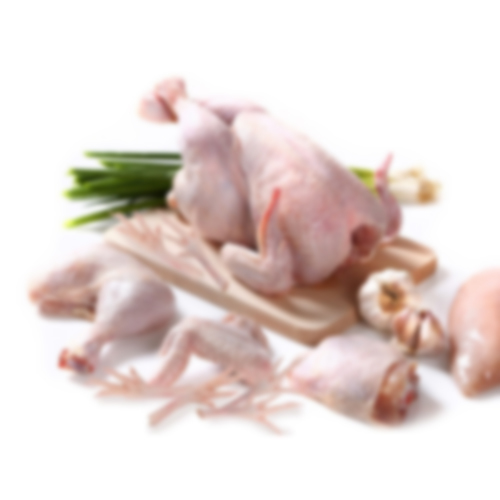 Frozen Chicken By SIAM CANADIAN GROUP LIMITED