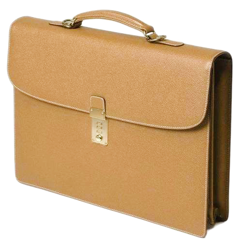 Designer Office Bag