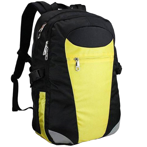 Fancy Laptop Bag