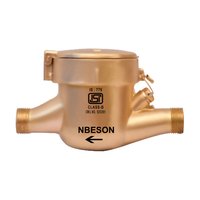 Domestic Water Meter