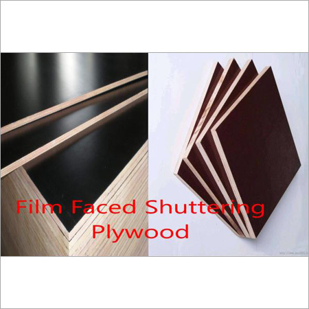 Film Faced Shuttering Plywood