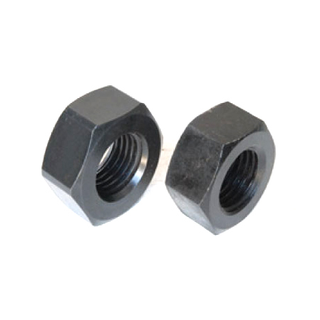 Hex Nut