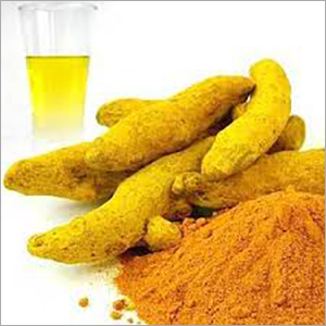 Fresh Turmeric Powder