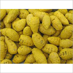 Raw Turmeric