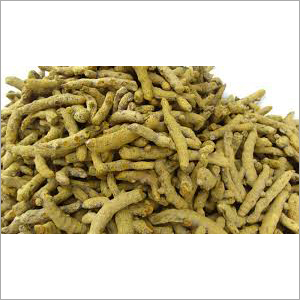 Salem Turmeric Finger