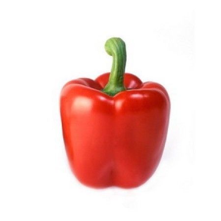 Red Bell Pepper