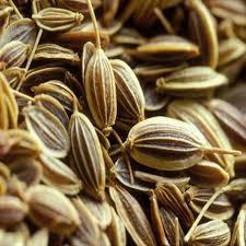 Ajwain Extract Grade: Food Grade