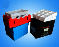 Corrugated Plastic Shipping Boxes
