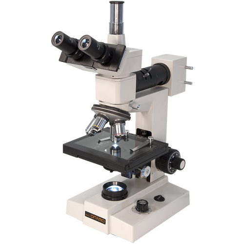 Trinocular Microscope