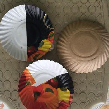 Printed Craft Paper Plates