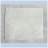 Bone Graft