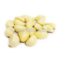 Fresh Peeled Garlic - 100% Organic, Round Shape, 2-4 Grams, White Color, Raw Processing, 7-8 Days Shelf Life | Hygienically Packed, Natural Culinary Essential