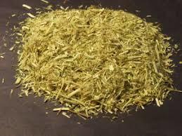 PASSIFLORA INCARNATA