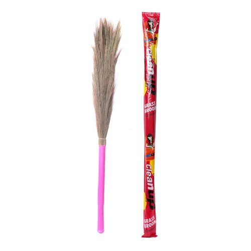 Grass Broom Regular