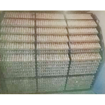 Eggs Hatch Incubators