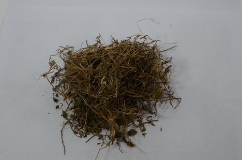 Bacopa Monnieri Powder Bacopa Monnieri Powder