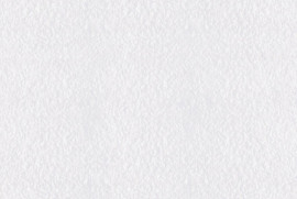 WL 5002 L P-219-300 X 450 mm