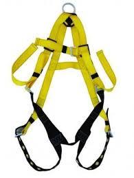 Safety belt harness