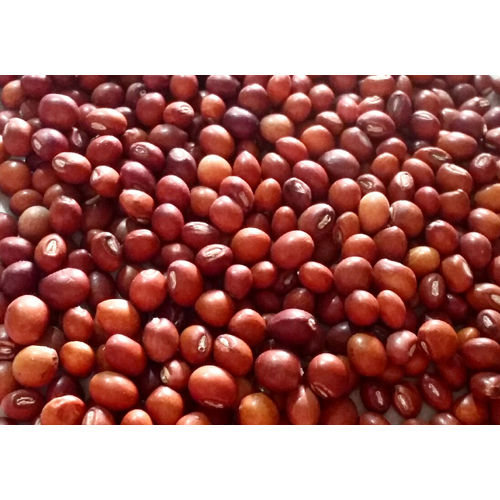 Toor Seed Toor Seed