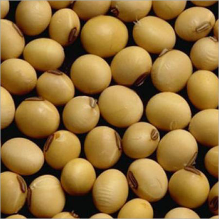 Soybean Seeds Admixture (%): 1 % Max.