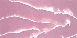 Pink Onyx-3100 X 1400 mm- 3200 X 1600 mm