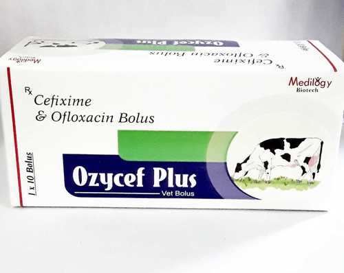 Cefixime & Ofloxacin