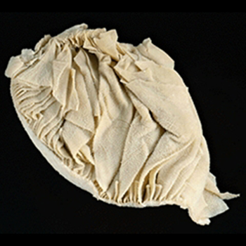 Cattle Omasum