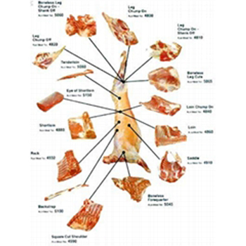 Frozen Buffalo Meat