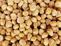 Dry Apricot