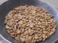 Almond Gurbandi